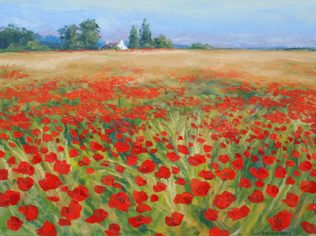 Paysage-de-coquelicots-sur-.jpg