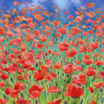 Jete-de-coquelicots-du-mati.jpg