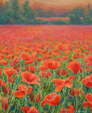 Prairie-de-coquelicots-papi.jpg