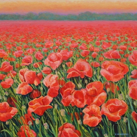 Prairie-de-coquelicots-au-c.jpg