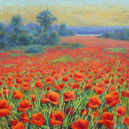 Prairie-de-coquelicots-au-b.jpg