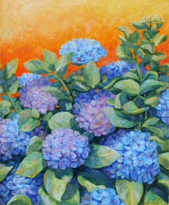 Hortensias-complementaires-.jpg