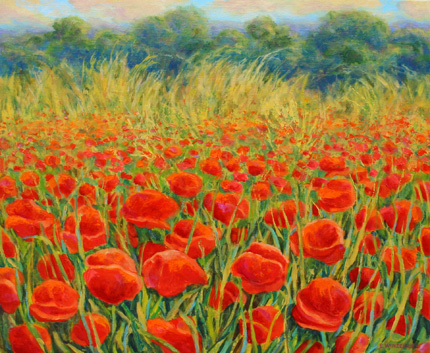 Coquelicots-dans-une-friche.jpg